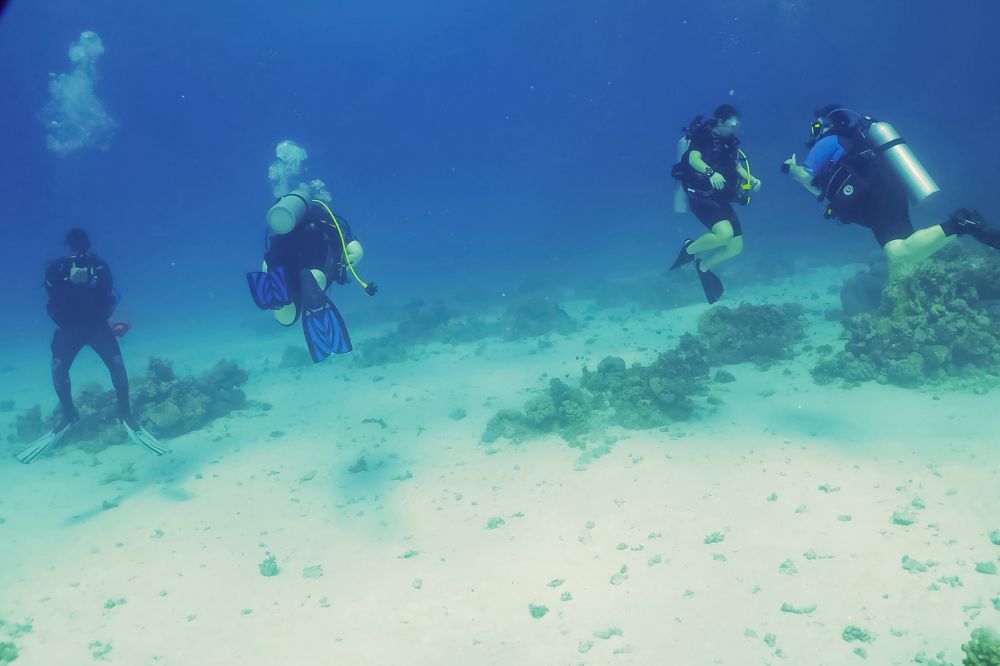 Holiday Training - Egypt